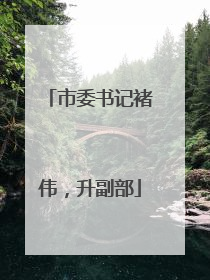 市委书记褚伟，升副部