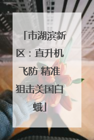 市湖滨新区：直升机飞防 精准狙击美国白蛾