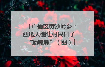 广信区黄沙岭乡：西瓜大棚让村民日子“顶呱呱”（图）