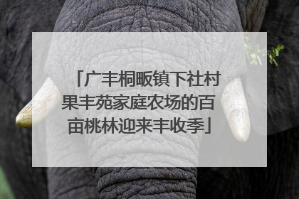 广丰桐畈镇下社村果丰苑家庭农场的百亩桃林迎来丰收季