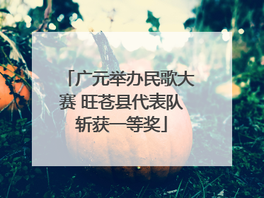 广元举办民歌大赛 旺苍县代表队斩获一等奖