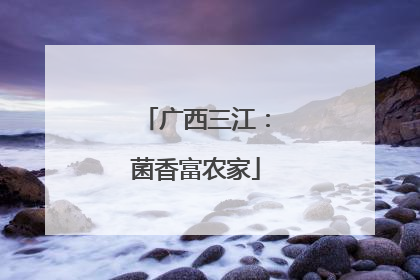 广西三江：菌香富农家