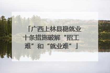 广西上林县稳就业十条措施破解“招工难”和“就业难”