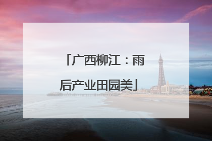 广西柳江：雨后产业田园美