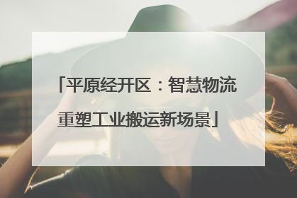 平原经开区：智慧物流重塑工业搬运新场景