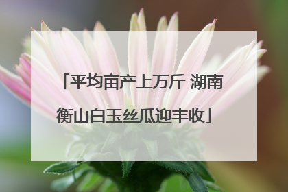 平均亩产上万斤 湖南衡山白玉丝瓜迎丰收