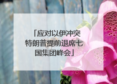 应对以伊冲突 特朗普提前退席七国集团峰会