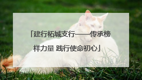 建行柘城支行——传承榜样力量 践行使命初心