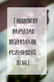 强链聚群 陕西持续推进特色现代农业提质发展