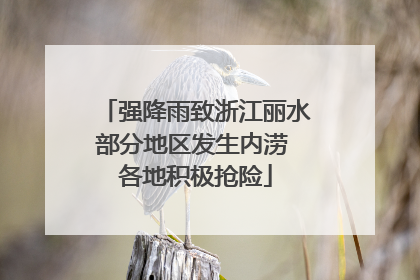 强降雨致浙江丽水部分地区发生内涝 各地积极抢险