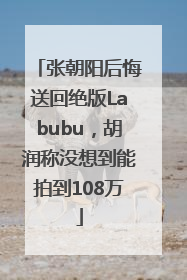 张朝阳后悔送回绝版Labubu，胡润称没想到能拍到108万