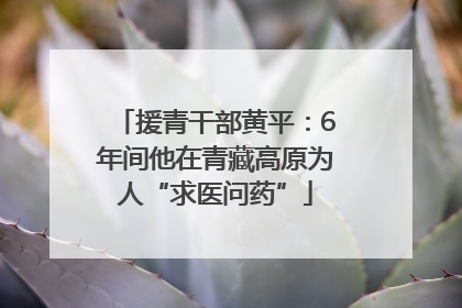 援青干部黄平：6年间他在青藏高原为人“求医问药”