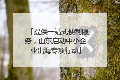 提供一站式便利服务，山东启动中小企业出海专项行动