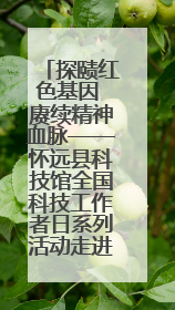 探赜红色基因 赓续精神血脉——怀远县科技馆全国科技工作者日系列活动走进怀远县实验中学