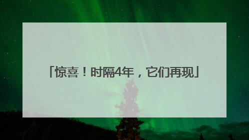 惊喜！时隔4年，它们再现