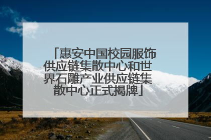 惠安中国校园服饰供应链集散中心和世界石雕产业供应链集散中心正式揭牌