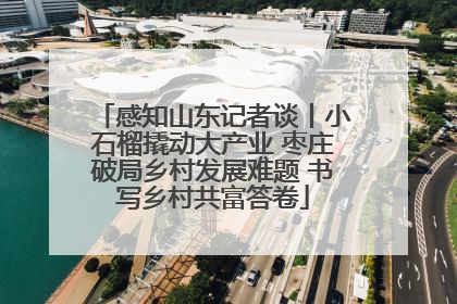感知山东记者谈丨小石榴撬动大产业 枣庄破局乡村发展难题 书写乡村共富答卷