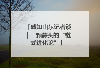 感知山东记者谈｜一颗蒜头的“链式进化论”