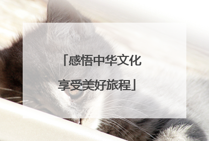 感悟中华文化 享受美好旅程