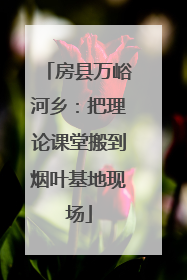 房县万峪河乡：把理论课堂搬到烟叶基地现场