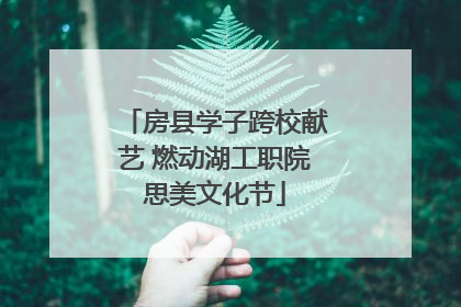 房县学子跨校献艺 燃动湖工职院思美文化节