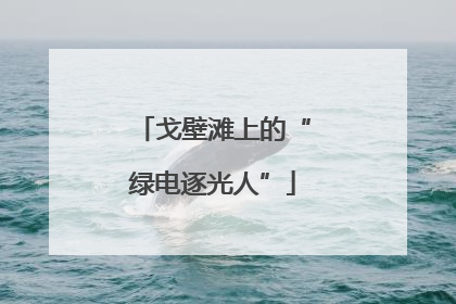 戈壁滩上的“绿电逐光人”