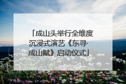 成山头举行全维度沉浸式演艺《东寻·成山赋》启动仪式