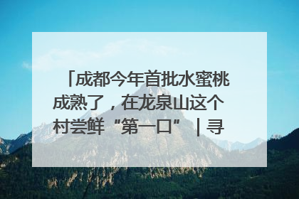 成都今年首批水蜜桃成熟了，在龙泉山这个村尝鲜“第一口”｜寻找和美乡村推荐官