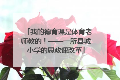 我的德育课是体育老师教的！——一所县城小学的思政课改革