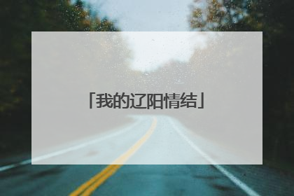 我的辽阳情结