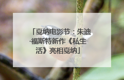 戛纳电影节：朱迪·福斯特新作《私生活》亮相戛纳