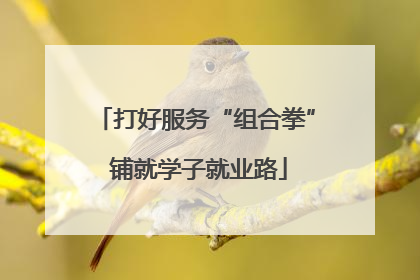 打好服务“组合拳” 铺就学子就业路