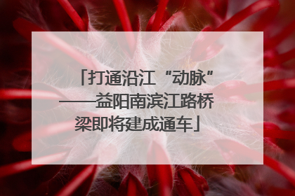 打通沿江“动脉”——益阳南滨江路桥梁即将建成通车