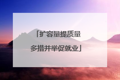 扩容量提质量 多措并举促就业