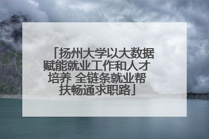 扬州大学以大数据赋能就业工作和人才培养 全链条就业帮扶畅通求职路