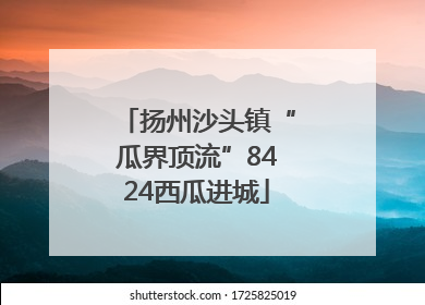 扬州沙头镇“瓜界顶流”8424西瓜进城