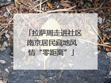 拉萨周走进社区 南京居民藏地风情“零距离”