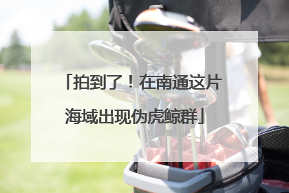 拍到了！在南通这片海域出现伪虎鲸群