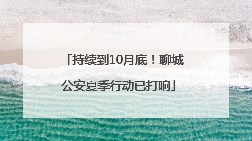 持续到10月底！聊城公安夏季行动已打响