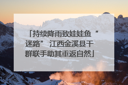 持续降雨致娃娃鱼“迷路” 江西金溪县干群联手助其重返自然