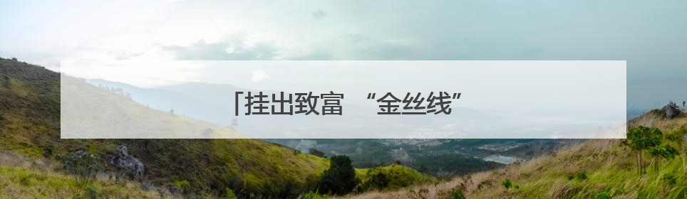 挂出致富 “金丝线” 煮出振兴“好味道”