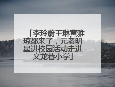 李玲蔚王琳黄雅琼都来了，元老明星进校园活动走进文龙巷小学