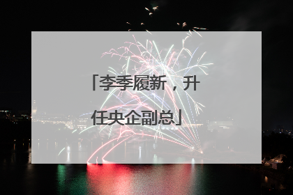 李季履新，升任央企副总