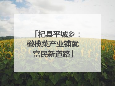 杞县平城乡：橄榄菜产业铺就富民新道路
