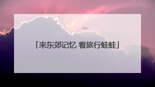 来东郊记忆 看旅行蛙蛙