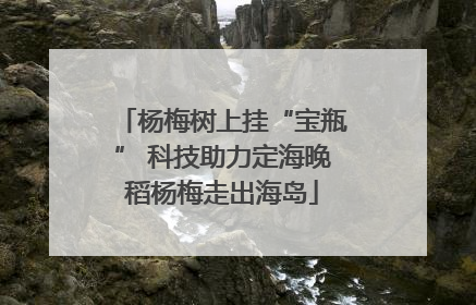 杨梅树上挂“宝瓶” 科技助力定海晚稻杨梅走出海岛