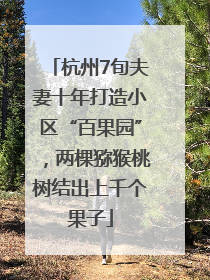 杭州7旬夫妻十年打造小区“百果园”，两棵猕猴桃树结出上千个果子
