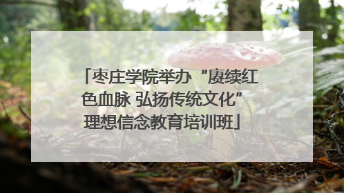 枣庄学院举办“赓续红色血脉 弘扬传统文化”理想信念教育培训班