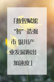 数智赋能“智”造强市 银川产业发展跑出加速度