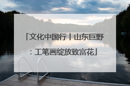 文化中国行丨山东巨野：工笔画绽放致富花